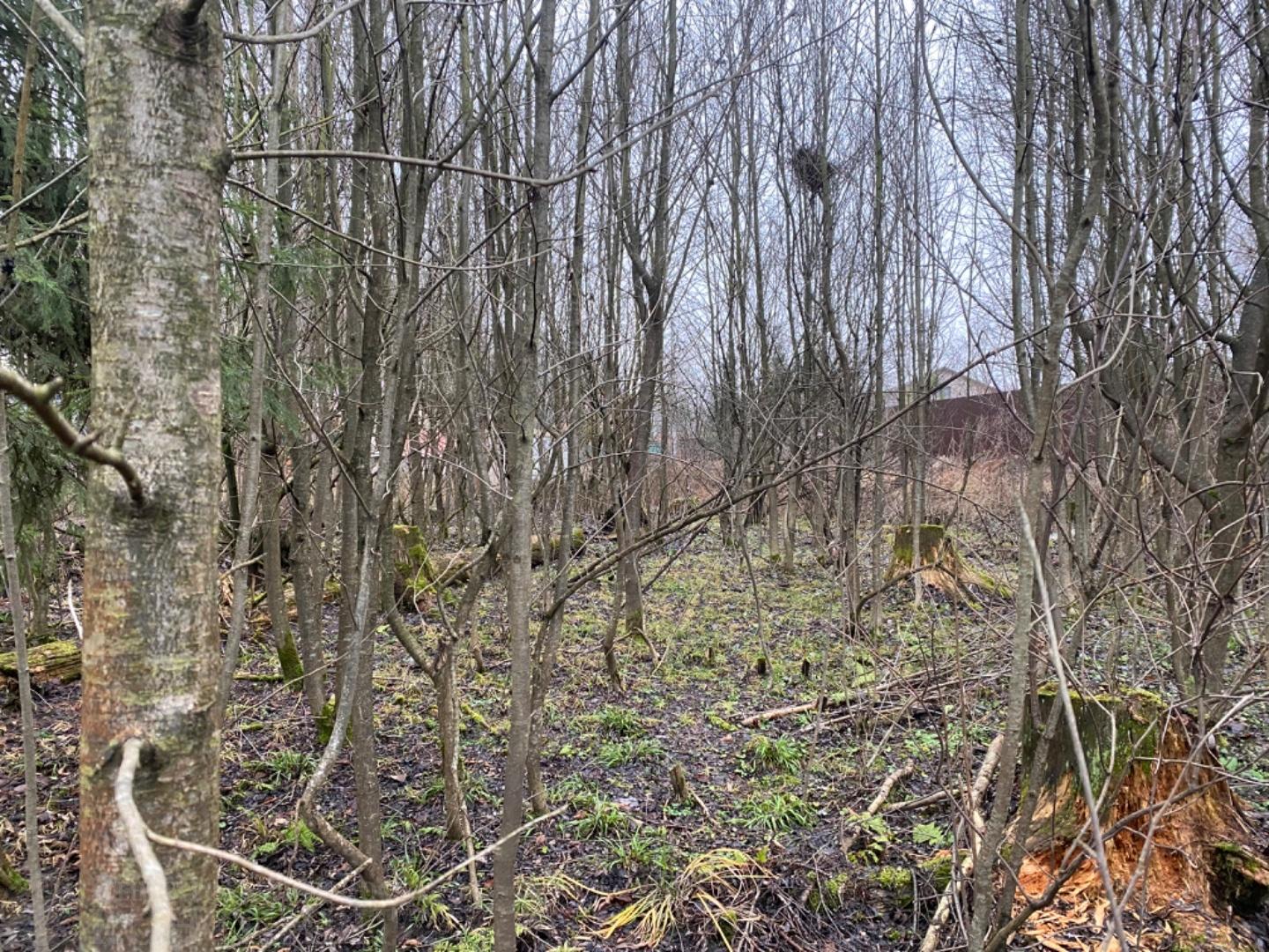 Продажа участка, Лосино-Петровский