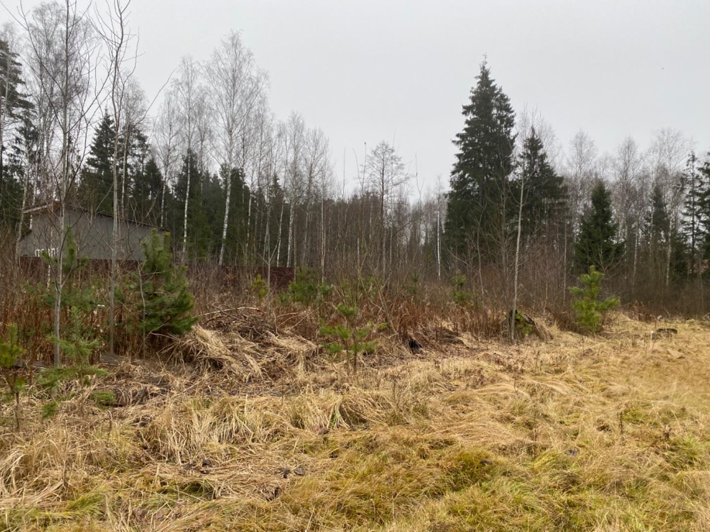 Продажа участка, Лосино-Петровский