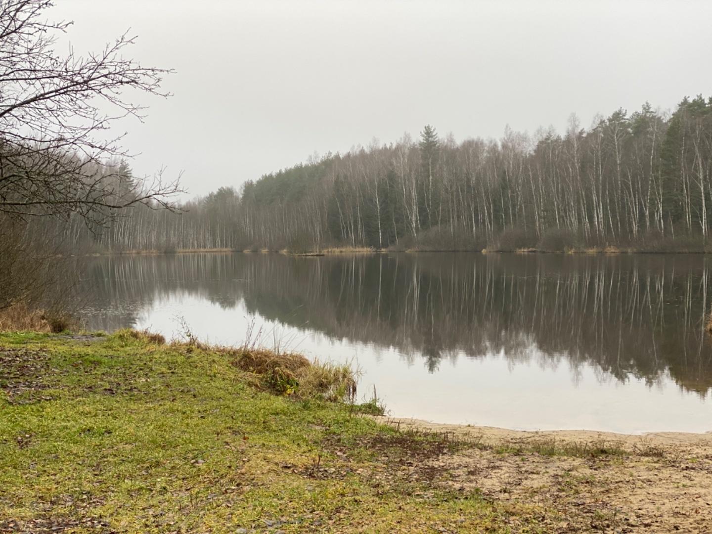 Продажа участка, Лосино-Петровский