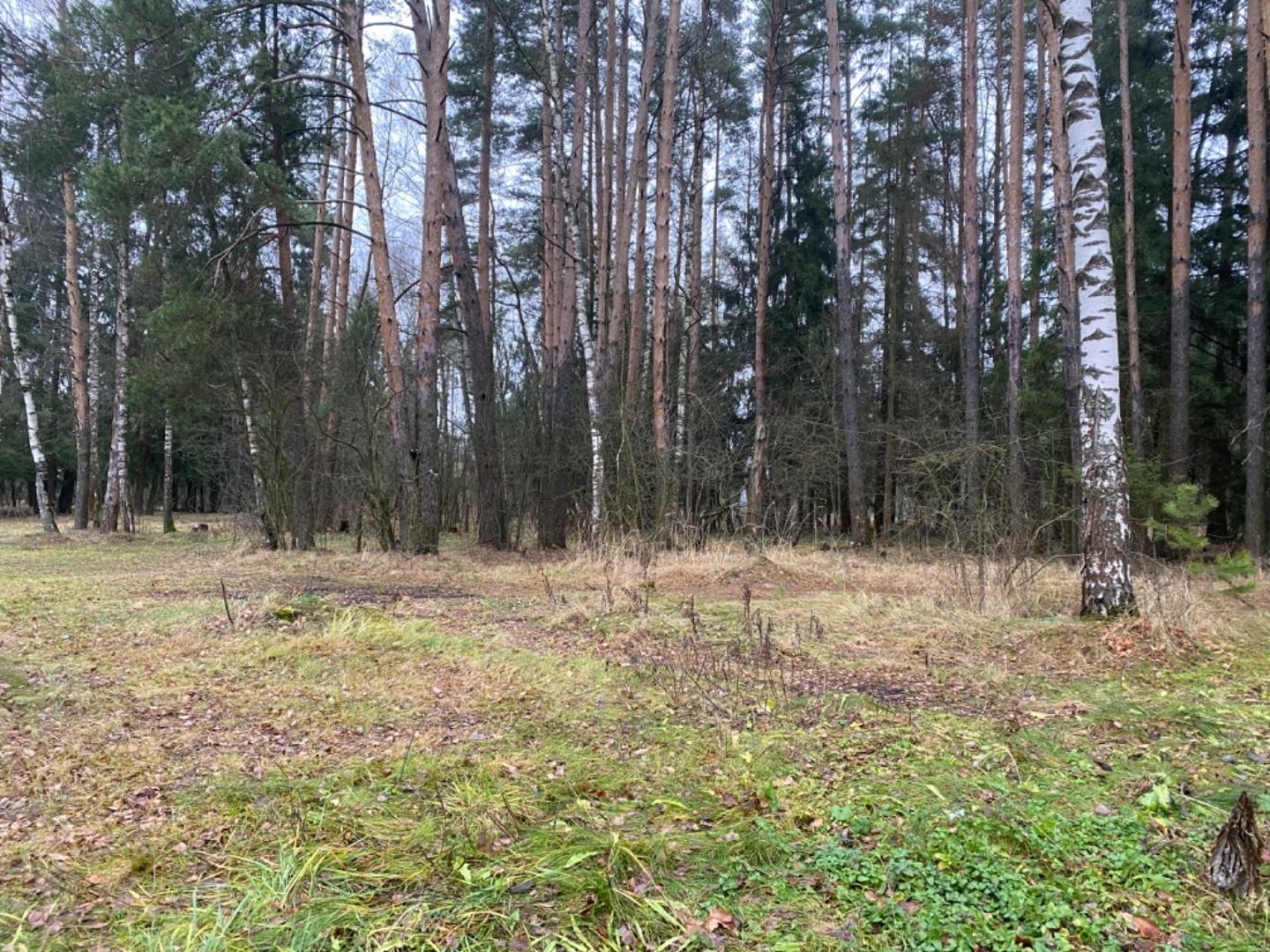 Продажа участка, Лосино-Петровский